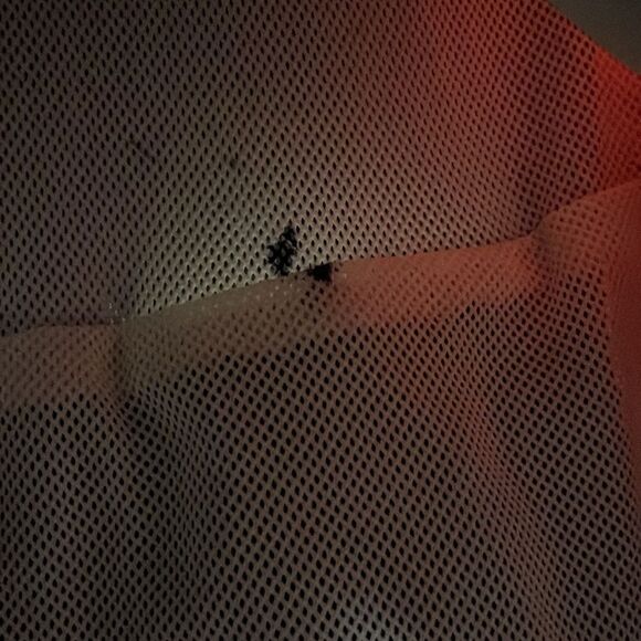 Vintage Frank Shorter Sports Running Marathon Jacket Black Red Lined Hood Retro - Picture 6 of 7